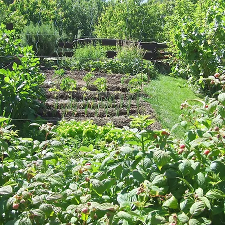 Caño Chico Y La Fuente * Villanueva del Conde